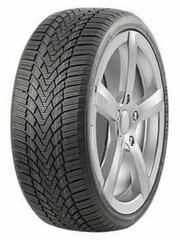 Шина Roadmarch Winterxpro 888 225/65 R16 100T зимняя нешипованная