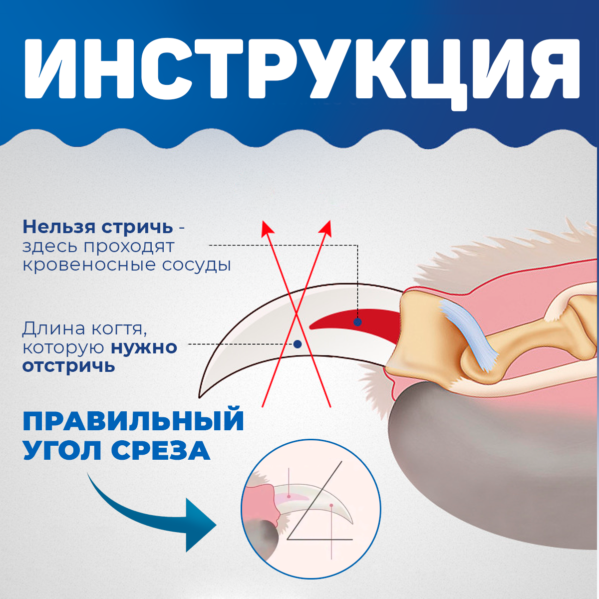 Когтерезы, Секаторы Для Стрижки Когтей Petkit Когтерез-секатор для крупных пород собак с пилкой для когтей/ Зоотовар для груминга, кусачки для животных, для стрижки