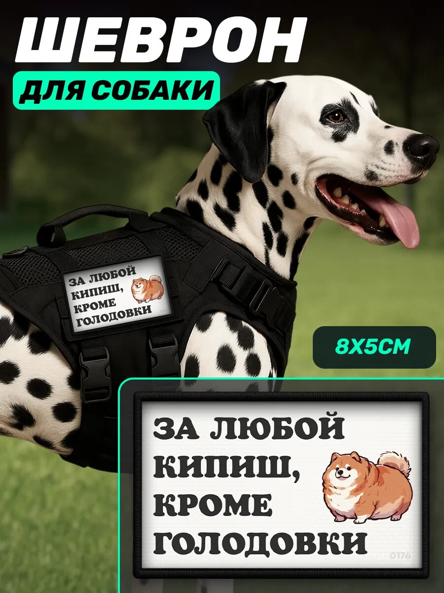 Шеврон на шлейку для собак За любой кипиш кроме голодовки