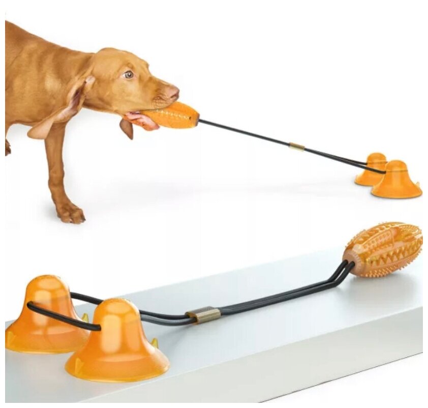 Игрушка для собак для чистки зубов и лакомства, на присосках
