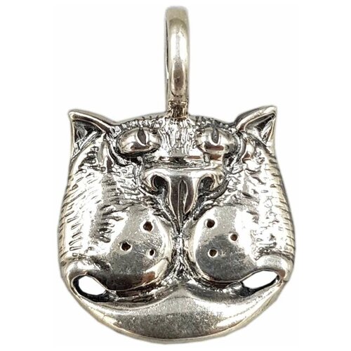 Подвеска Яспис из серебра 