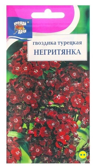 Семена цветов Гвоздика Турецкая "Негритянка", 0,1 г