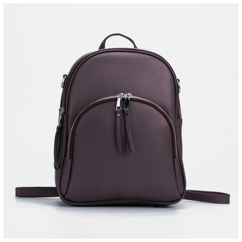 фото Рюкзак, 2 отдела на молниях, 2 наружных кармана, цвет бордовый supreme