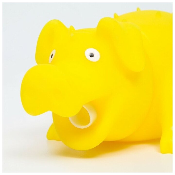 Игрушка пищащая "Весёлая свинья" для собак, хрюкающая, 19 см, жёлтая - фотография № 1