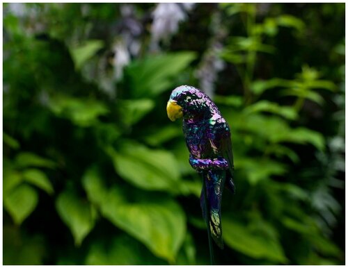 Садовый штекер фиолетовый попугай, пластик, 17x5x3 см, высота 60 см, Kaemingk 808198-фиолетовый