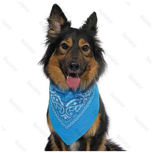 Бандана платок для собак на шею хлопковая, голубая