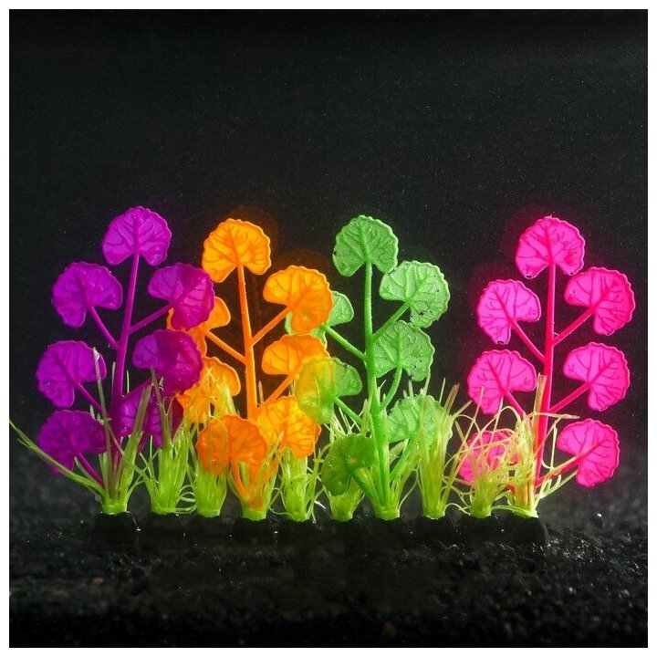Растение силиконовое аквариумное, светящееся в темноте, 16 х 11 см, разноцветное 7108766 . - фотография № 1