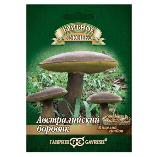 Мицелий Боровик австралийский гриб на зерновом субстрате, 15 мл, Гавриш семена мицелий грибов гриб австралийский боровик