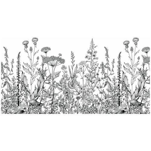 Фотообои Уютная стена Луговые травы 400х270 см Виниловые Бесшовные (единым полотном)