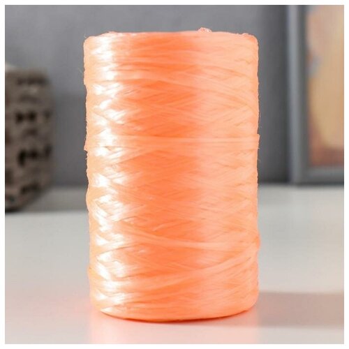 Пряжа Для вязания мочалок 100 полипропилен 400м100гр абрикос В упаковке 5 592₽