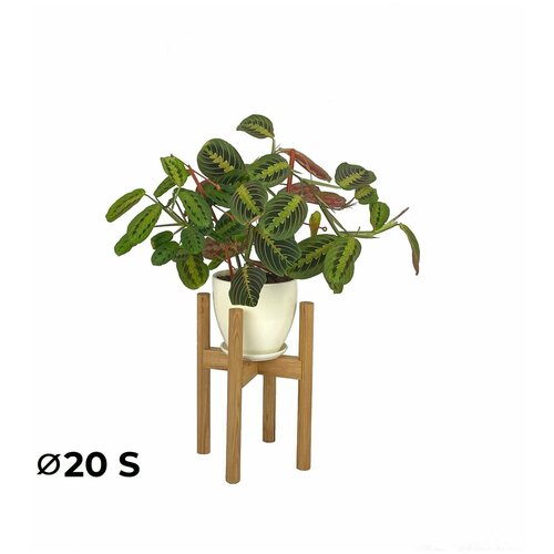 Подставка для цветов, растений и кашпо Один от Flora Urban диаметр: 20 см, высота: 35 см, размер: S, цвет: Дуб натуральный