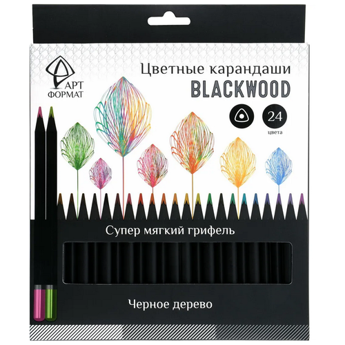 АРТформат Цветные карандаши Blackwood, 24 цвета, AF03-051-24, 24 шт.