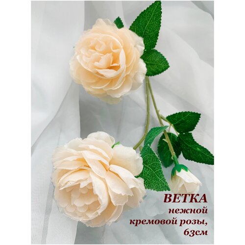 Чайная роза, 3 соцветия на ветке, 65см