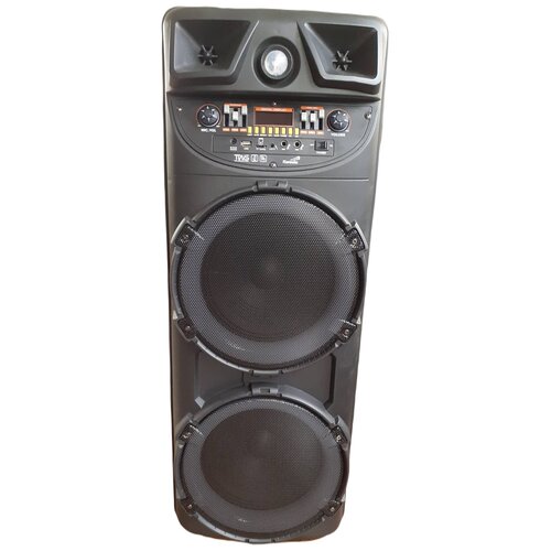 Колонка акустическая портативная комбоусилитель Караоке RX-1003 светодиодная подсветкапультмикрофонbluetooth AUXUsbFMАудио вход500Вт 2290000₽