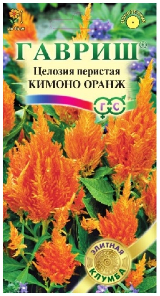 Семена Целозия Кимоно Оранж перистая Саката серия Элитная клумба 10 шт.