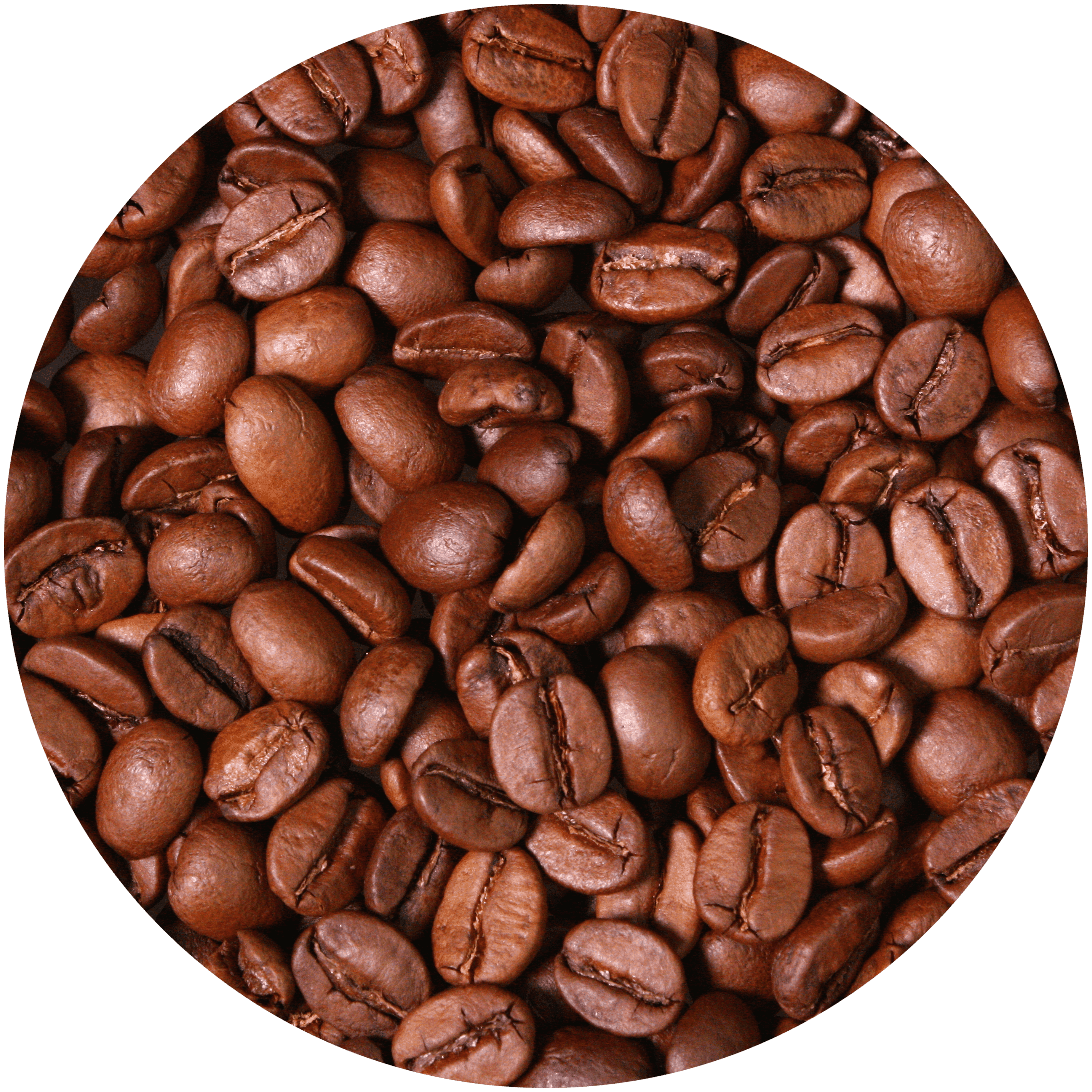 Кофе в зернах Бразилия Де Бом Госто, Обжарка средняя, Обработка натуральная, 100% Арабика, Студия Обжарки Кофе СОК, 200 г - фотография № 4