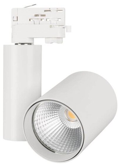 Трековый светильник Arlight LGD-Shop-4TR-R100-40W Warm SP2900-Meat 026288