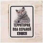 Интерьерная табличка для интерьера дома Территория под охраной британской кошки кошатнику , металл, 20х30 см