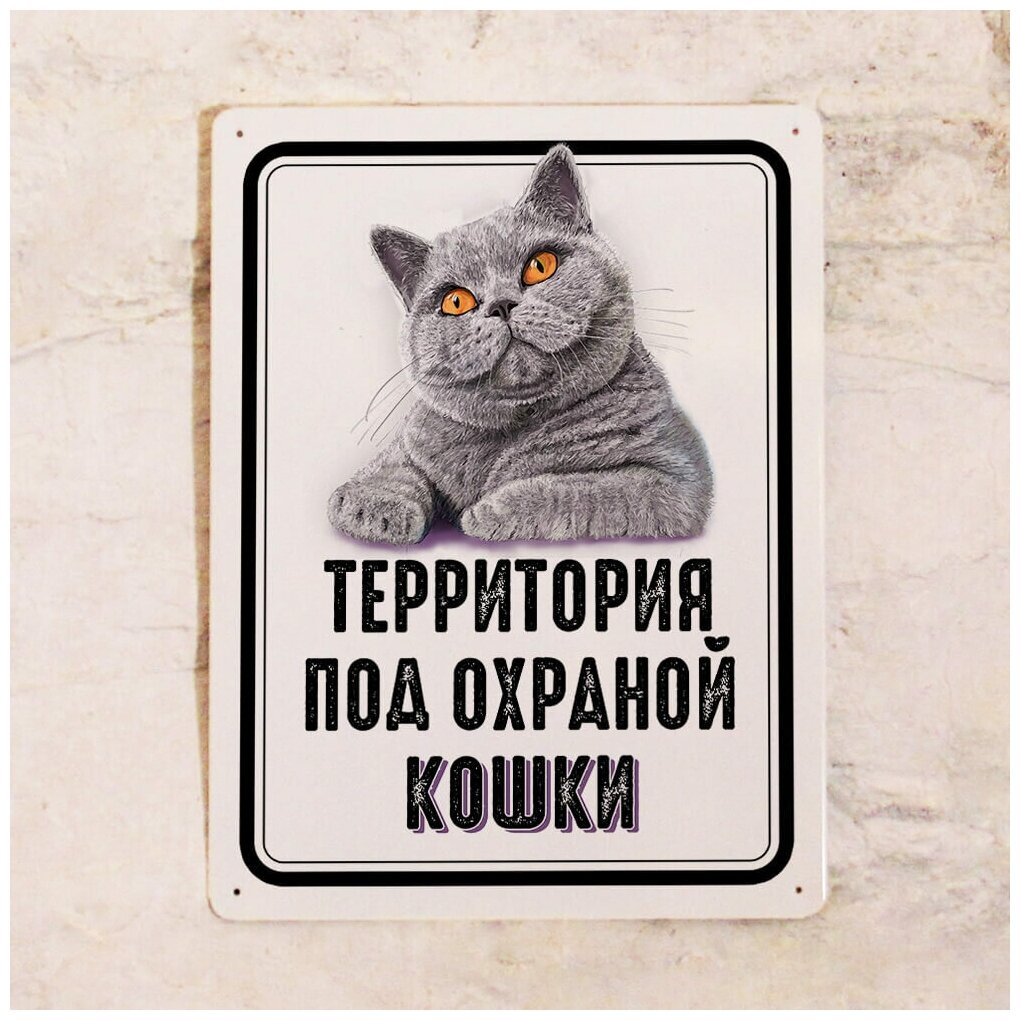 Интерьерная табличка для интерьера дома Территория под охраной британской кошки кошатнику  металл 20х30 см