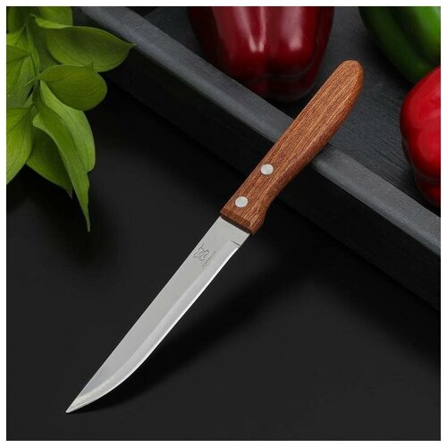 Доляна Нож кухонный «Эльбрус», гладкое лезвие 11,5 см