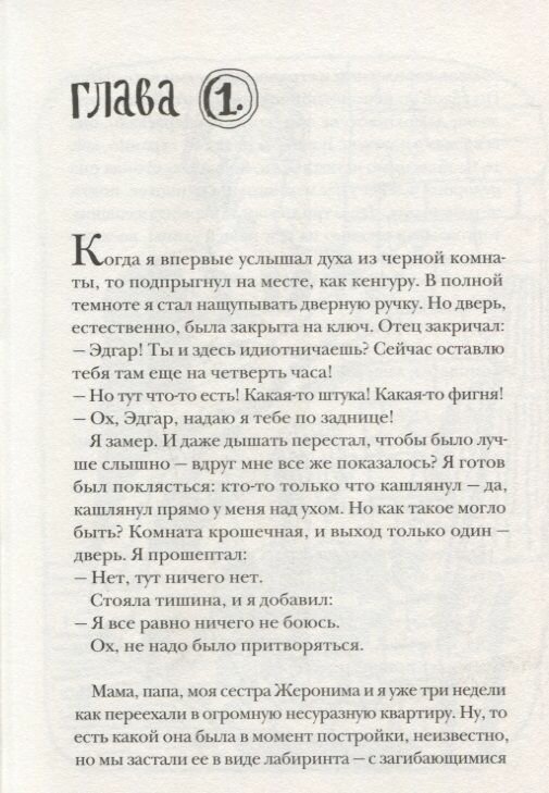 Дух из черной комнаты (Петров Сергей (переводчик), Яржомбек Тимофей (иллюстратор), Шаба Жан-Франсуа) - фото №9