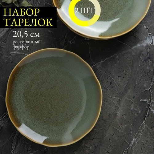 Набор обеденных тарелок 20,5 см 2 шт