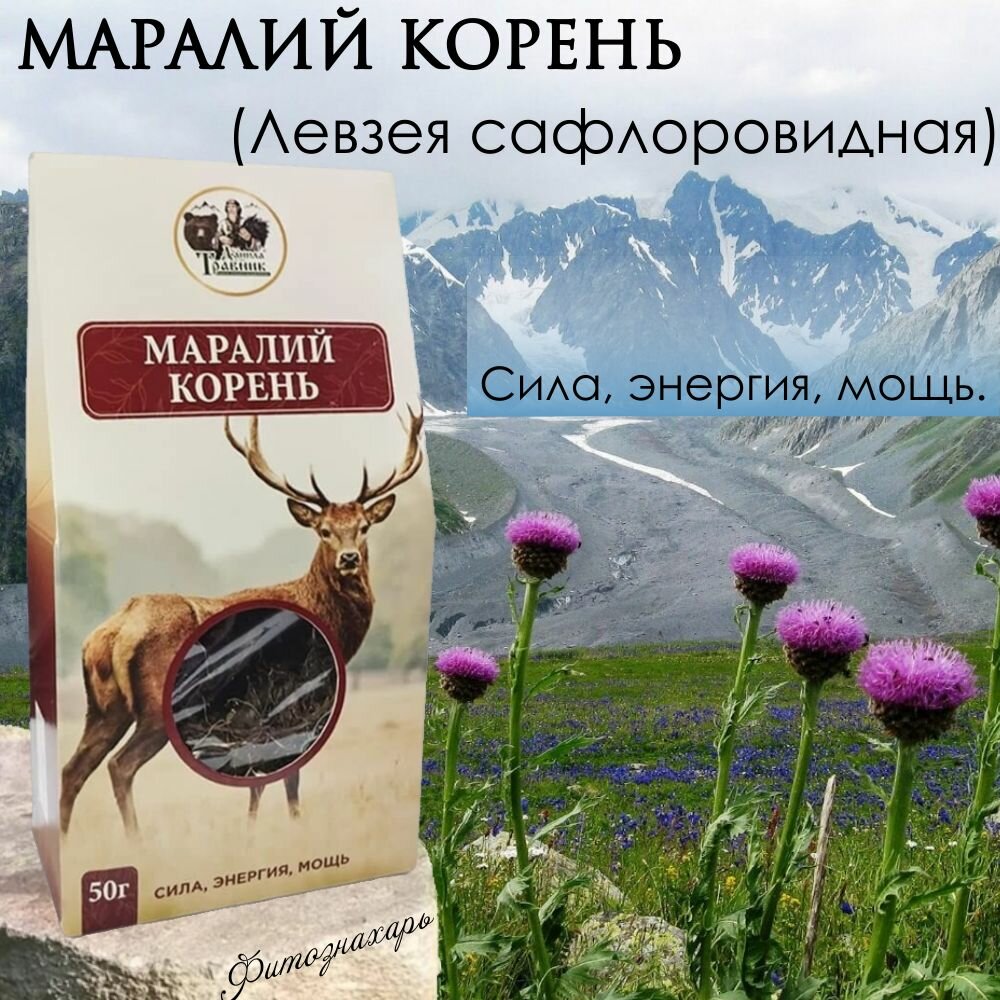 Маралий корень (Левзея сафлоровидная), корни Горного Алтая 50г.