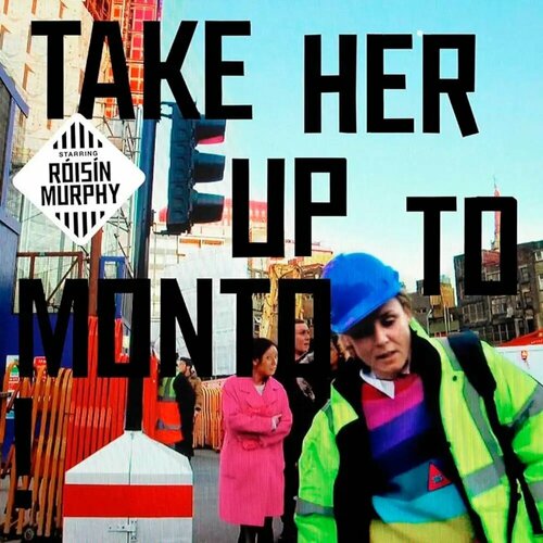 ROISIN MURPHY - TAKE HER UP TO MONTO! (2LP) виниловая пластинка