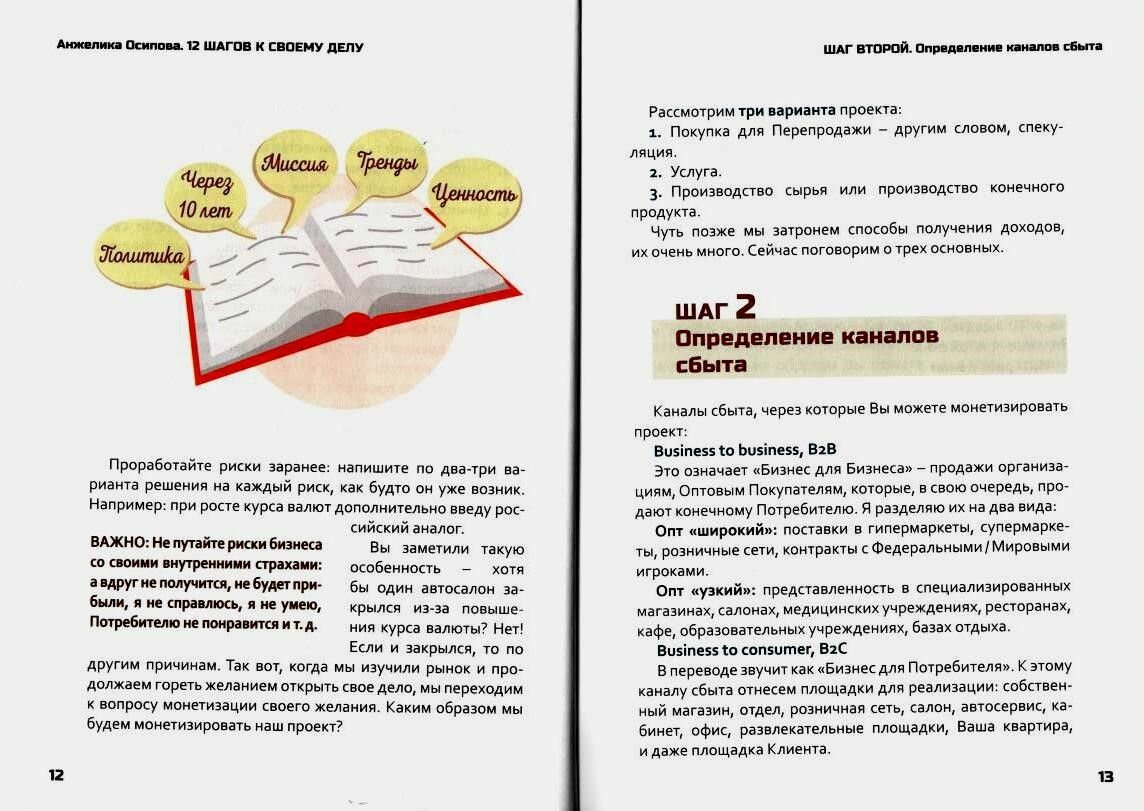 12 шагов к своему делу. Пособие для начинающих бизнесменов