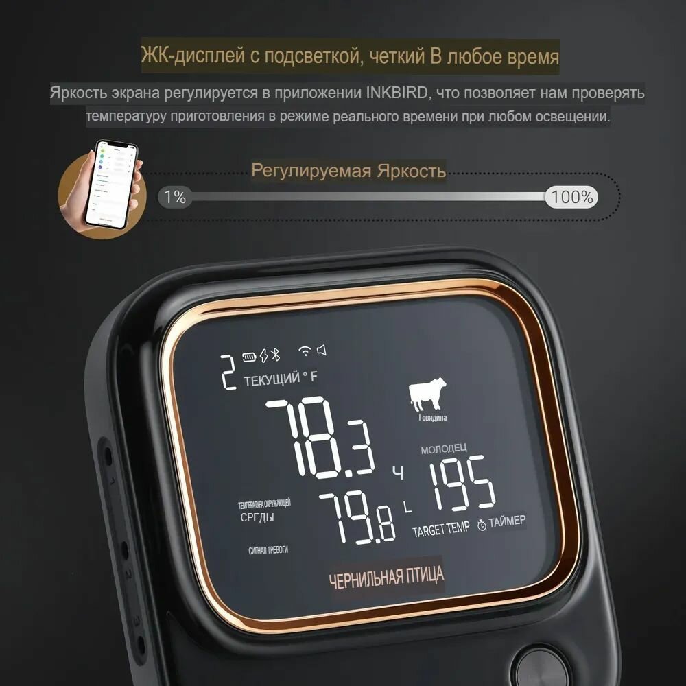 Кулинарный термометр INKBIRD IBT-26S5G, 6 зондов, поддержка WiFi и Bluetooth — фото 1