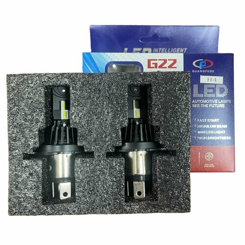 Лампы светодиодные автомобильные led H4 G22, 2 шт