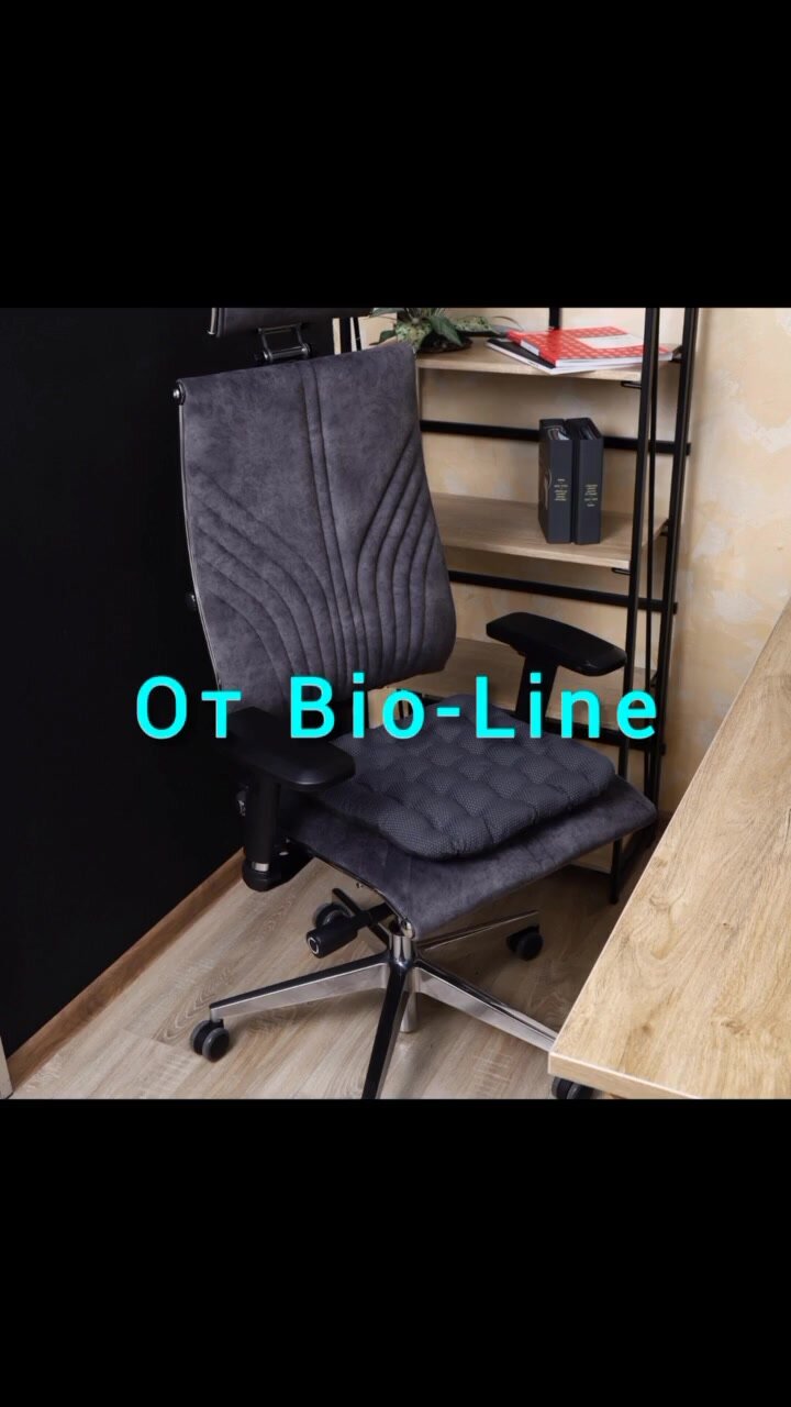 Подушка на стул Bio-Line , ортопедическая подушка для сидения с лузгой гречихи, на завязках Bio-Line,40х40 см, черный — фото 1