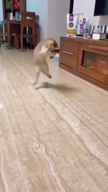 Игрушка для кошек и собак, интерактивный мяч, игрушка дразнилка для котов, заводной, розовый — фото 1