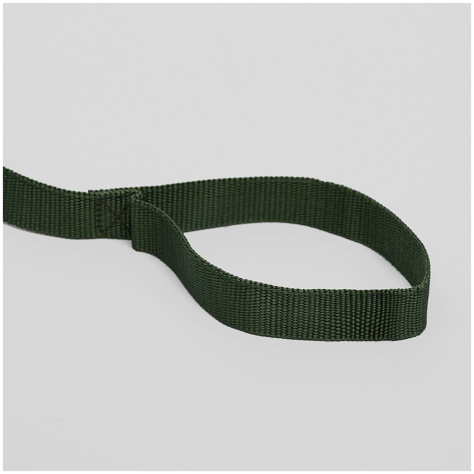 фото Поводок 3 м х 2,5 см, зелёный