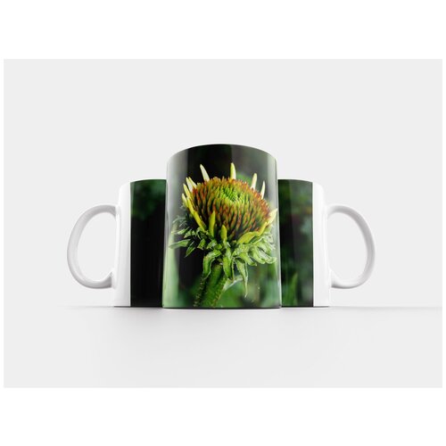 фото Кружка "остроконечный цветок, цветок, цвести" 320 мл lotsprints