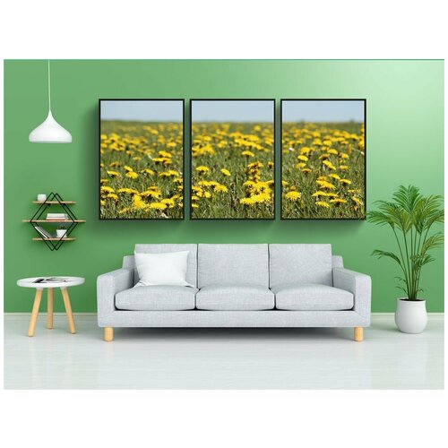 фото Набор модулных постеров для интерьера "одуванчик, луг, одуванчика луг" 60x90 см. в тубусе, без рамки lotsprints