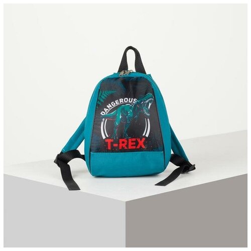 Рюкзак для мальчика NAZAMOK KIDS Динозавр 20х13х26 см / на молнии / дошкольный