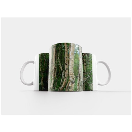 фото Кружка "швеция, fjäll, пейзаж" 320 мл lotsprints