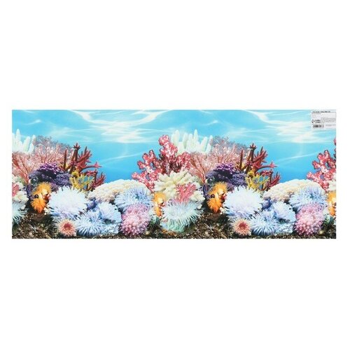 Фон для аквариума, 30 см, рулон 25 м, "Hidde", цвет разноцветный