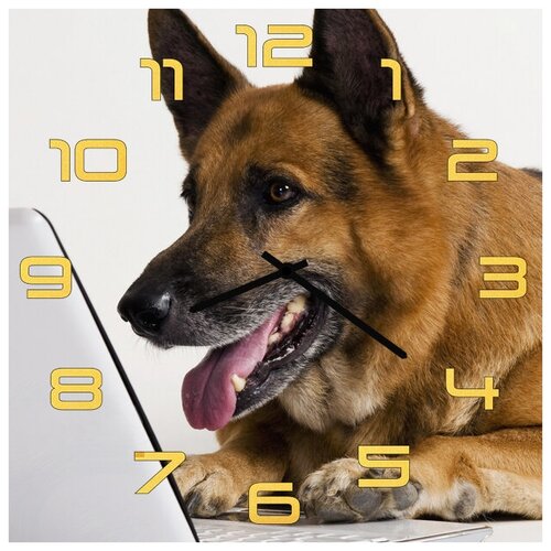 фото Svs настенные часы svs 3002029 овчарка за ноутбуком