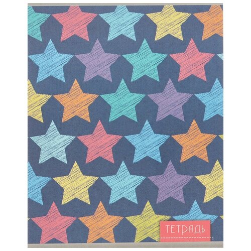 Тетрадь общая А5,48л,кл,скрепка, обл.офсет в ассортименте С3614-24/26 5 шт