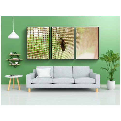 фото Набор модулных постеров для интерьера "комар, жук, насекомое" 60x90 см. в тубусе, без рамки lotsprints