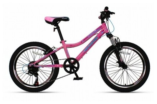Велосипед MaxxPRO STEELY 20 PRO N2002-5 (розово-голубой)