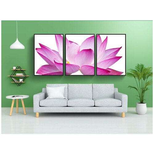 фото Набор модулных постеров для интерьера "цветок, лотос, вырезать" 60x90 см. в тубусе, без рамки lotsprints