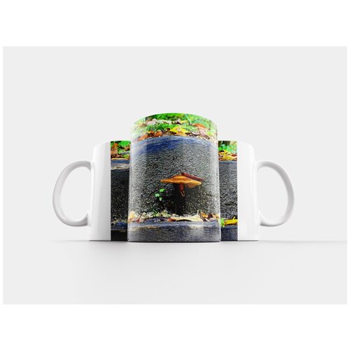 фото Кружка "опёнок осенний, гриб, лесенка" 320 мл lotsprints