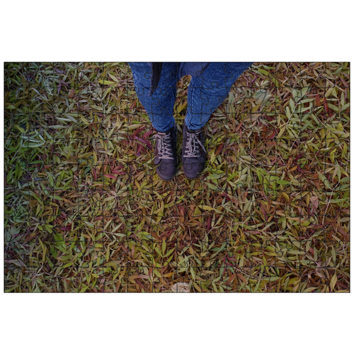 фото Магнитный пазл 27x18см."листья, туфли, ноги" на холодильник lotsprints