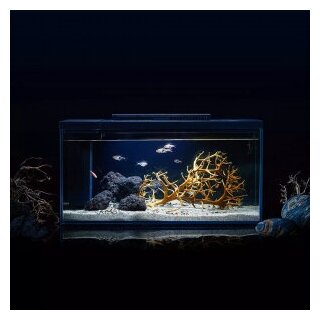 Умный аквариум Xiaomi Petkit Origin Intelligent Fish Tank Single Cylinder 10L - фотография № 5