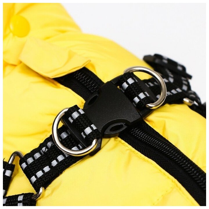 Куртка для собаксо шлейкой, размер 14 (ДС 32 см, ОГ 42 см, ОШ 31 см), лимонная - фотография № 5