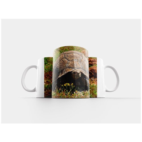 фото Кружка "черепаха, животное, бак" 320 мл lotsprints