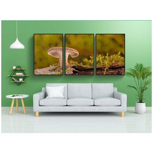фото Набор модулных постеров для интерьера "гриб, сухостой, дерево разложения" 60x90 см. в тубусе, без рамки lotsprints